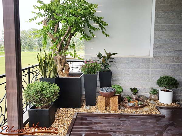 Biệt thự sân vườn 2
