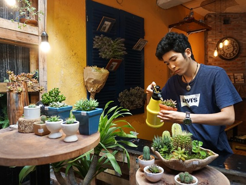 Quán nước hút khách nhờ cây siêu nhỏ trong lọ thủy tinh 1