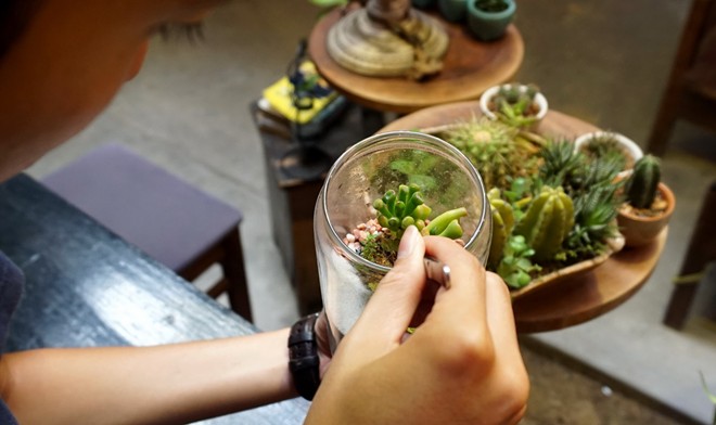 Quán nước hút khách nhờ cây siêu nhỏ trong lọ thủy tinh 4