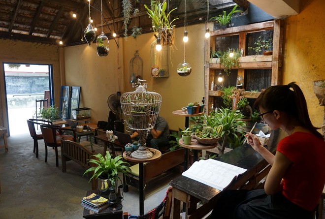 Quán nước hút khách nhờ cây siêu nhỏ trong lọ thủy tinh