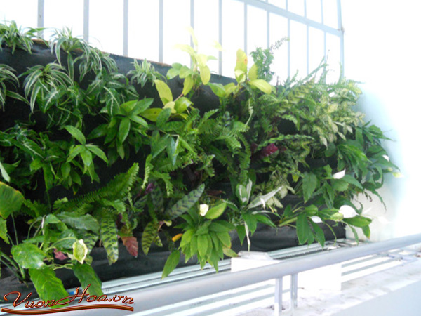 Thiết kế sân vườn cho căn hộ chung cư 6