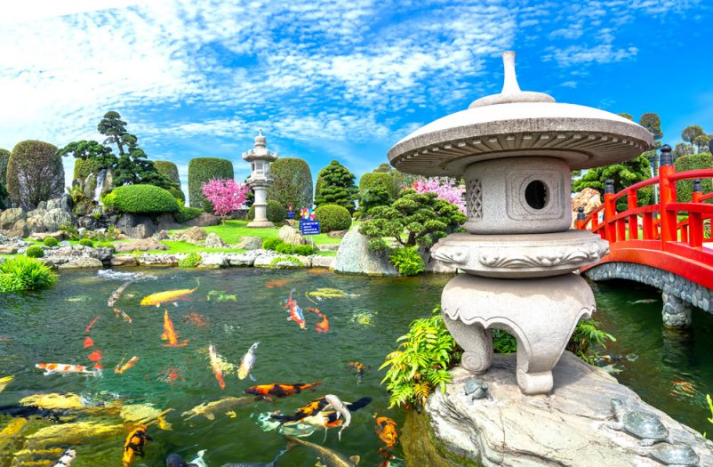 Tham quan Hồ cá Koi RinRin Park Hóc Môn, Công viên Đá Nhật Bản - ảnh 5