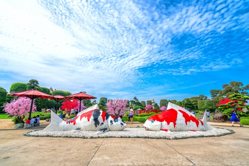 Tham quan Hồ cá Koi RinRin Park Hóc Môn, Công viên Đá Nhật Bản - ảnh 8