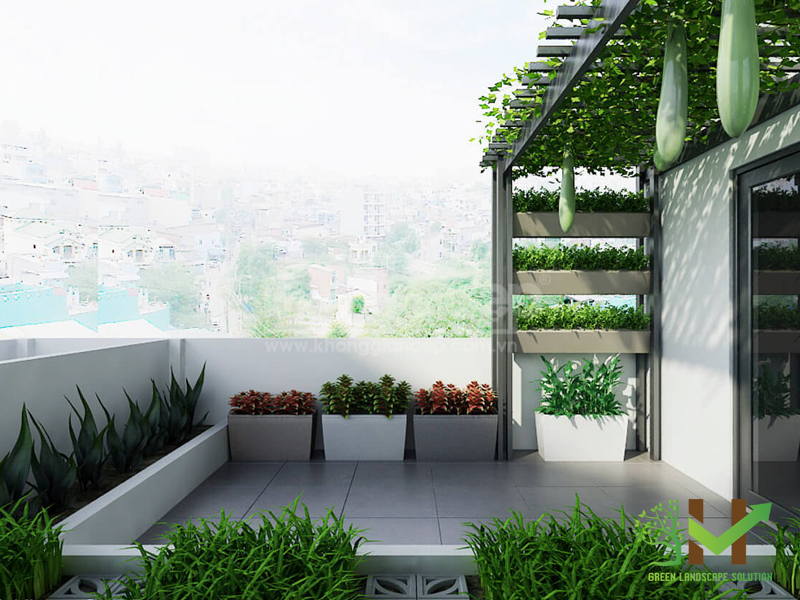 thiết kế sân vườn biệt thự
