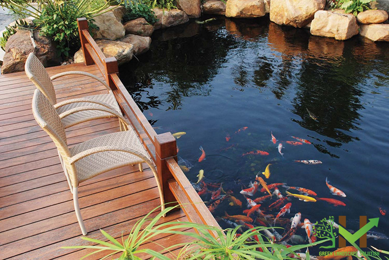 Hồ cá koi trong thiết kế sân vườn.