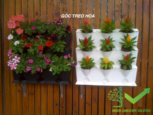 Trồng tường cây xanh đứng trong nhà