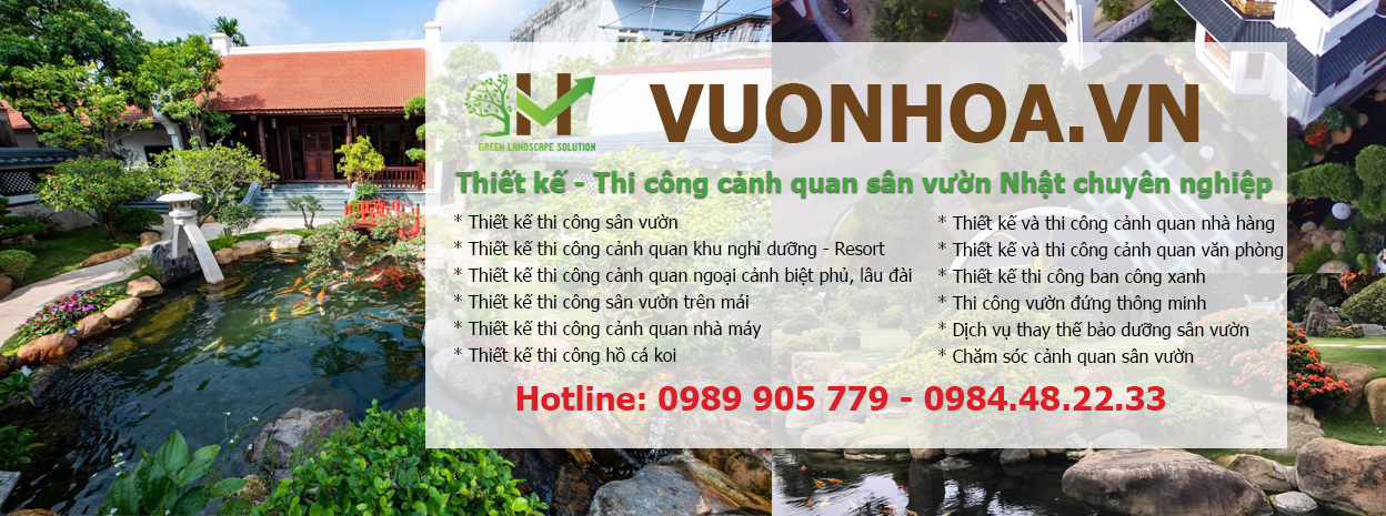 Thông tin dịch vụ