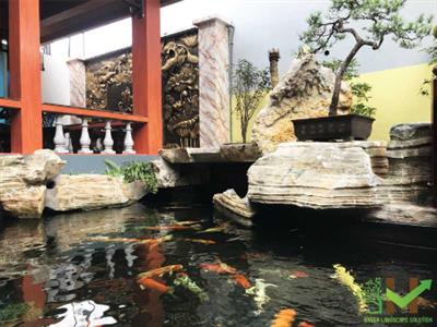 Thi công cảnh quan sân vườn, bể bơi, hồ cá Koi Mr. Giảng - Đông Anh