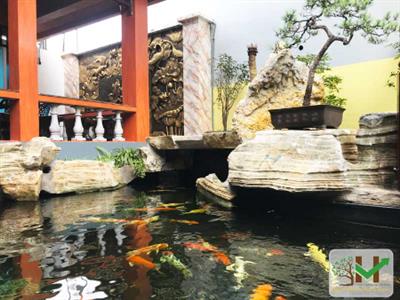 Thi công cảnh quan sân vườn, bể bơi, hồ cá Koi Mr. Giảng - Đông Anh