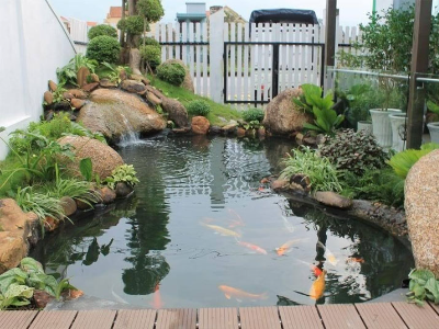 Mẫu sân vườn xanh mát
