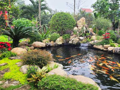 Một chiếc hồ koi xinh xắn cho sân vườn đẹp thu hút, tăng giá trị thẩm mỹ cho ngôi nhà của bạn