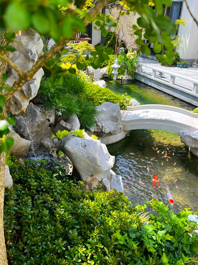Hồ Koi với núi non, thác nước hùng vĩ - tái hiện thiên nhiên thu nhỏ