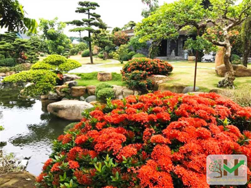 Mảng xanh sân vườn nhật bản – lá phổi tự nhiên bảo vệ sức khỏe gia đình