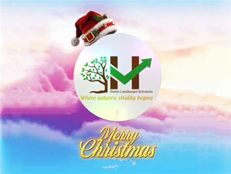 Công ty Sơn Kim Việt Nam mừng đón noel 2025