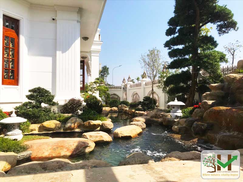 Đẳng cấp hồ cá Koi Nhật Bản: Nghệ thuật sắp đặt đá và nước từ Sơn Kim Việt Nam