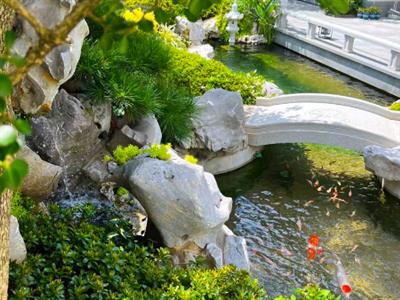 Hồ Koi với núi non, thác nước hùng vĩ - tái hiện thiên nhiên thu nhỏ