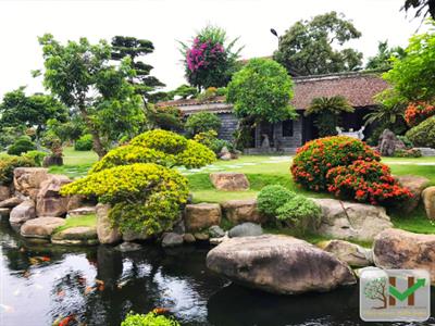 Sân vườn Nhật Bản - xu hướng không gian sống hiện đại